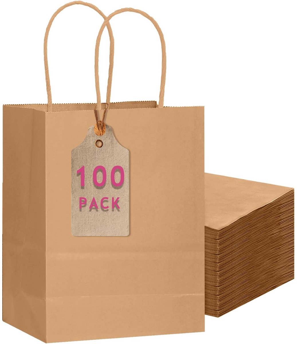 Omgoods - 100 Stuks Bruine Gift Bags met Handvatten - Voor Meerdere Gelegenheden