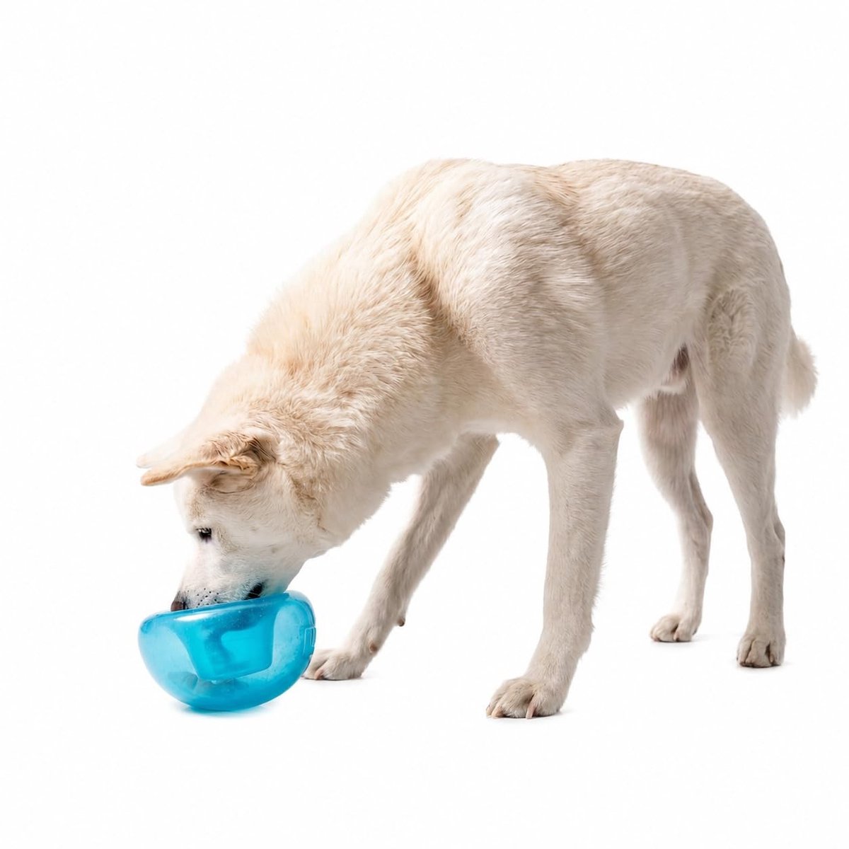Omgoods - Interactief Traktatiespeeltje voor Honden - Blauw