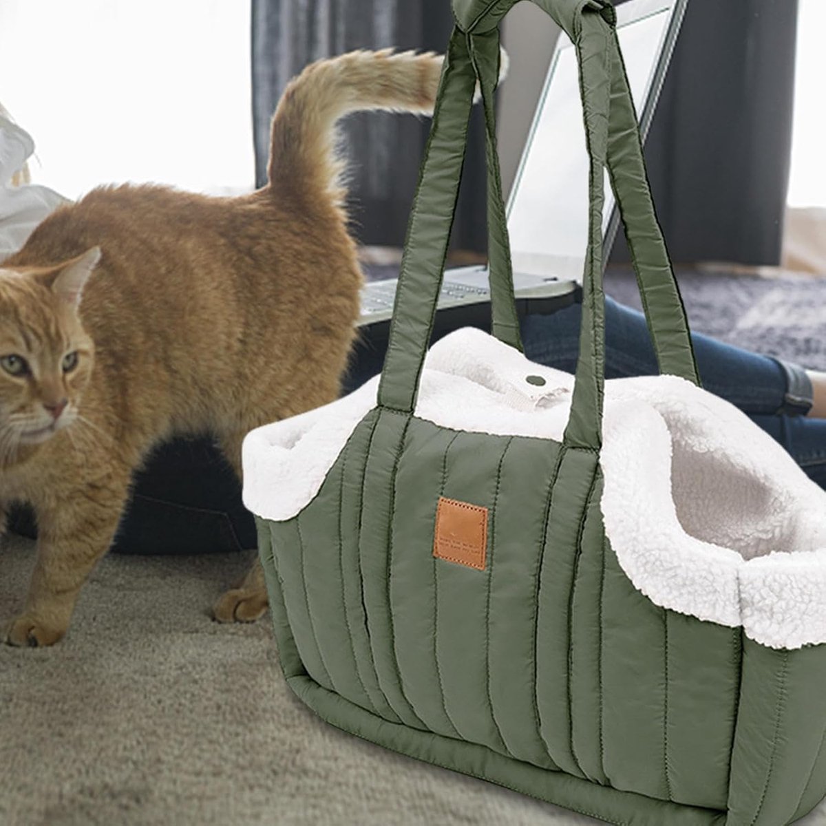 Draagtas voor huisdieren - Reistas Hond Kat - Comfortabel Reizen - Ademend Ontwerp - 38x14x50.5cm - Groen