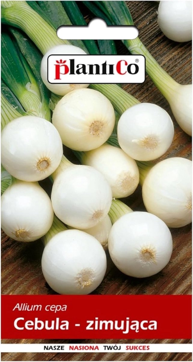 Winter ui zaden 3g - robuuste groentezaden voor glastuin - ideaal voor moestuin - ShopVlot