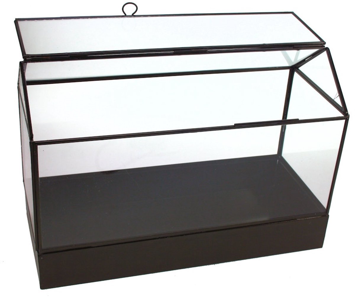 Vitrinedoos glas/metaal zwart 36x15x25cm