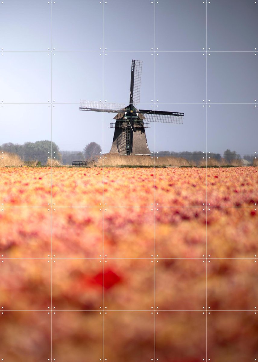 IXXI Windmill in Bloom, Claire Droppert - 100 x 140 cm - Gratis ophangtool - Grote wanddecoratie en posters - Fotografie, Woonkamer, Studeerkamer