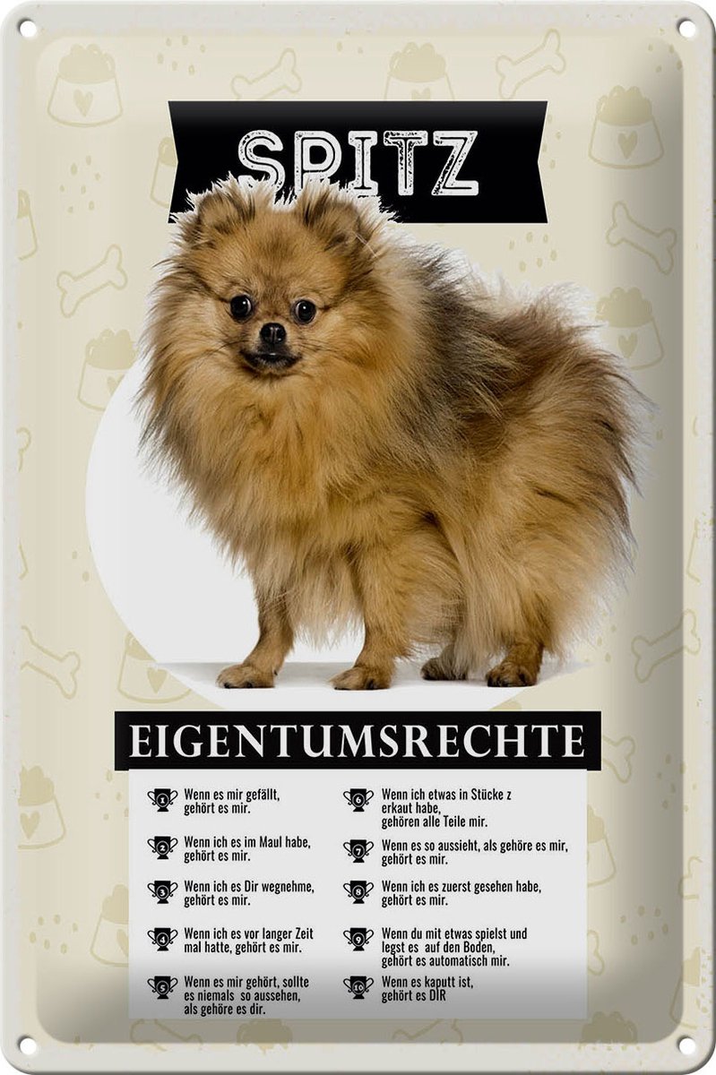 Blechschild 20x30cm Spitz Eigentumsrechte