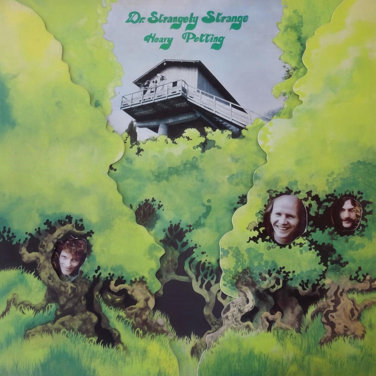 Dr. Strangely Strange - Heavy Petting (2 CD) (Anniversary Edition)