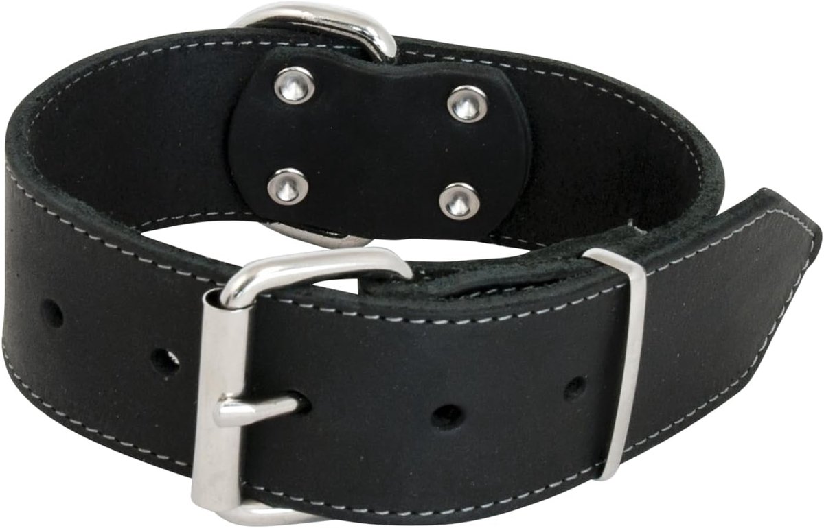 and Vanilla - Brede halsband voor honden van vet leer - voor middelgrote en grote honden - Robuust, duurzaam, zacht aanvoelend, moderne look, zwart, afmetingen 40 mm x 50 cm