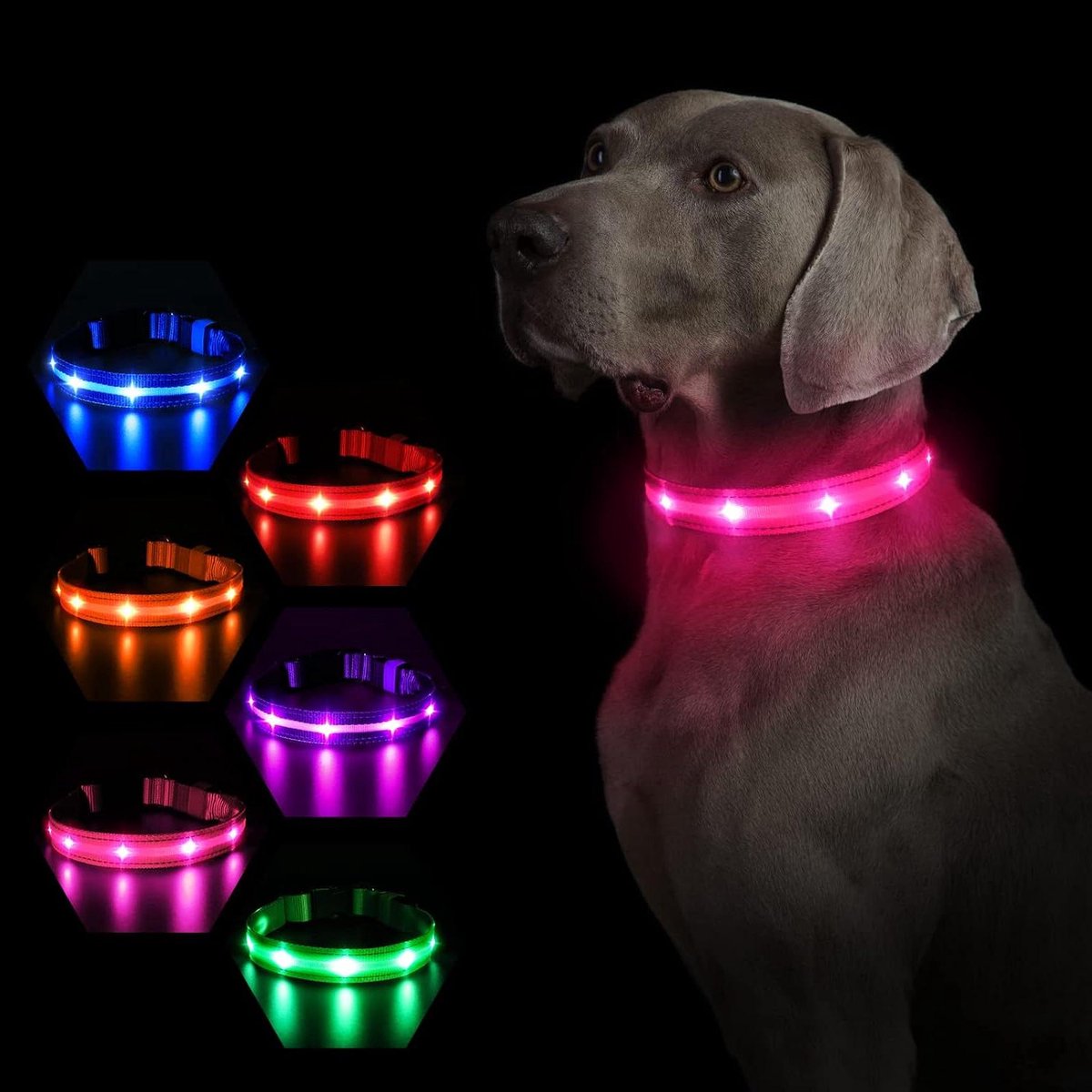 Hondenhalsband LED - Verlichting Halsband - Veiligheid in Donker - Oplaadbaar Waterdicht - S 40cm - Roze