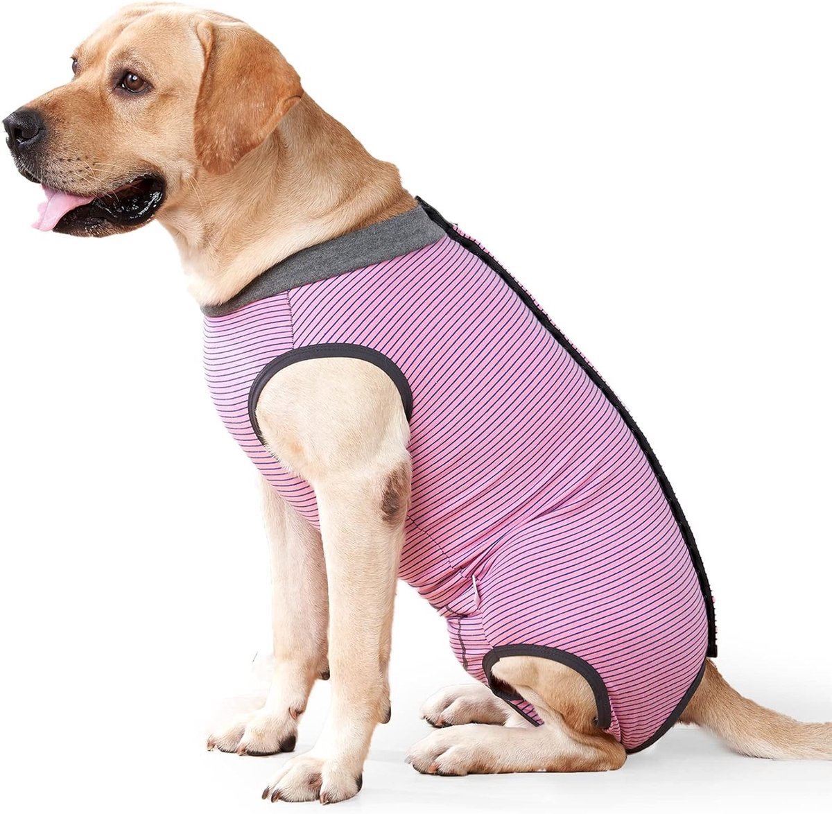 Hondenherstelpak voor Vrouwelijke en Mannelijke Honden, Bodysuit na Chirurgie, Comfortabele Operatievest voor Dieren, Alternatief voor Herstelhalsbanden