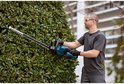 Man met blauwe en zwarte Bosch Professional heggenschaar snoeit een dichte groene heg.