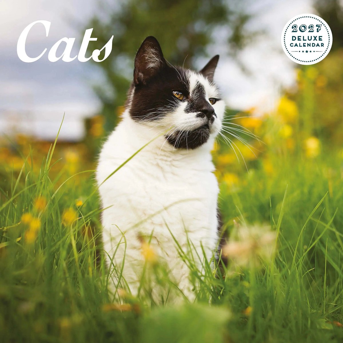 Katten Kalender 2027 Deluxe