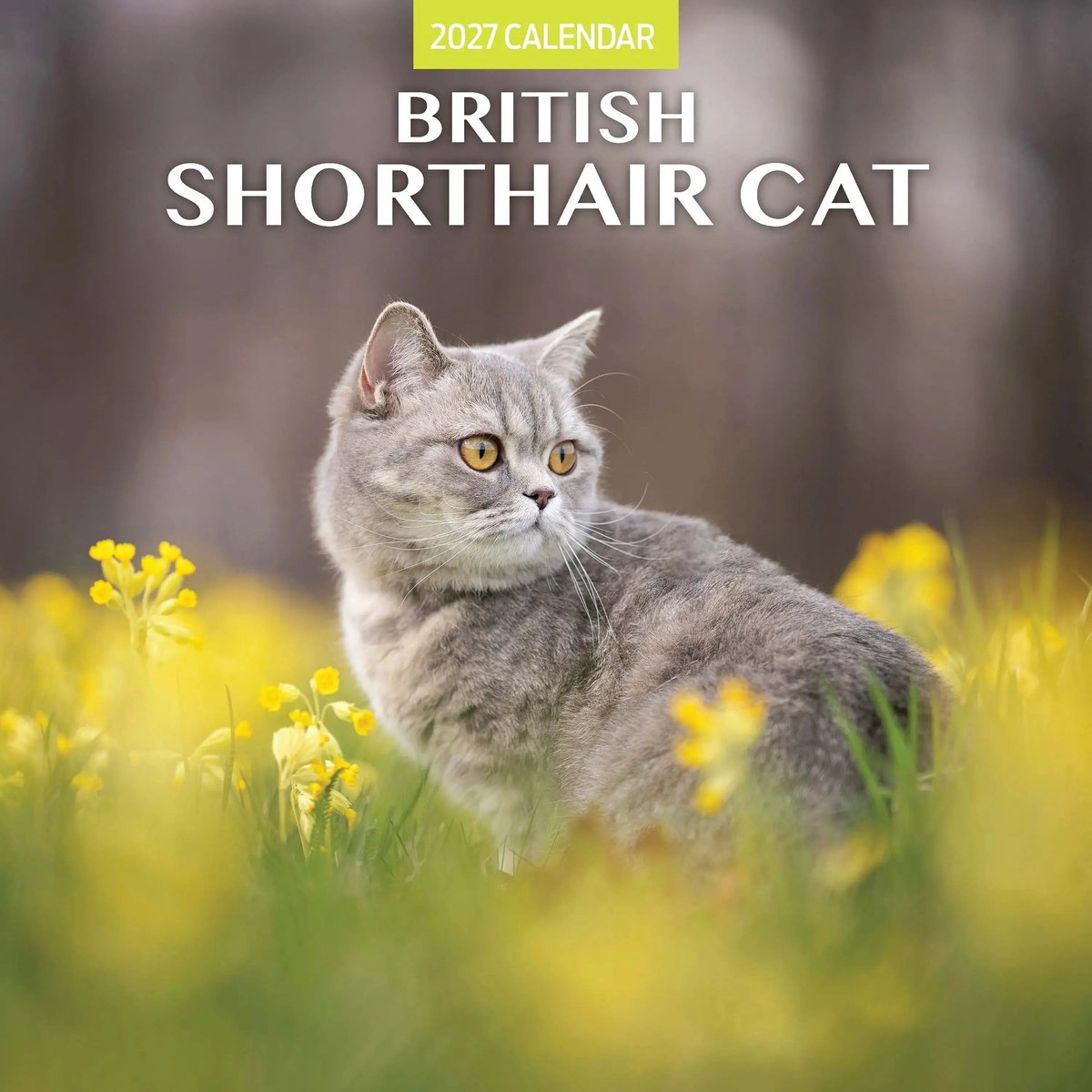 Brits Korthaar Kalender 2027