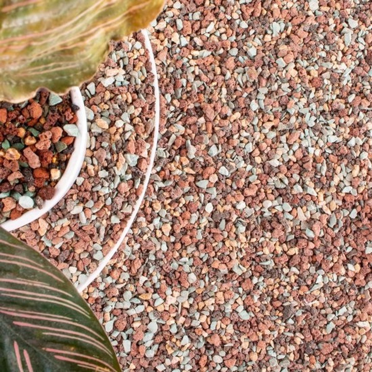 Mix Lavastenen voor Planten - Grind Kiezels voor Bonsai, Succulente en Cactus Potgrond