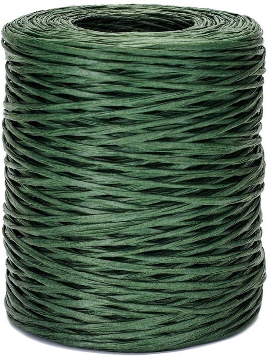 Bloemistdraad Papier - Binddraad Ambacht - Bloemschikken Tuinieren - Flexibel Buigzaam - 200 meter - Groen