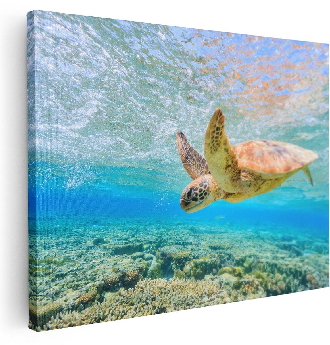 Artaza Canvas Schilderij Schildpad Zwemt in de Zee bij het Rif - 160x120 cm - Groot - Wanddecoratie Woonkamer - Schilderijen - Muurdecoratie