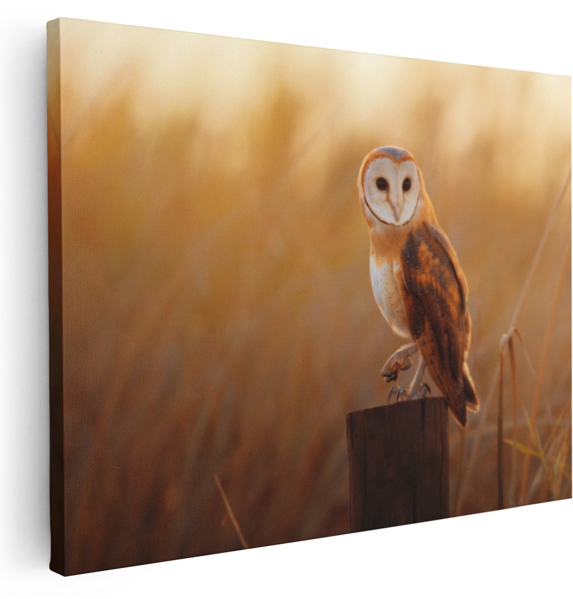 Artaza Canvas Schilderij Kerkuil Op Een Boomstronk - 160x120 cm - Groot - Wanddecoratie Woonkamer - Schilderijen - Muurdecoratie