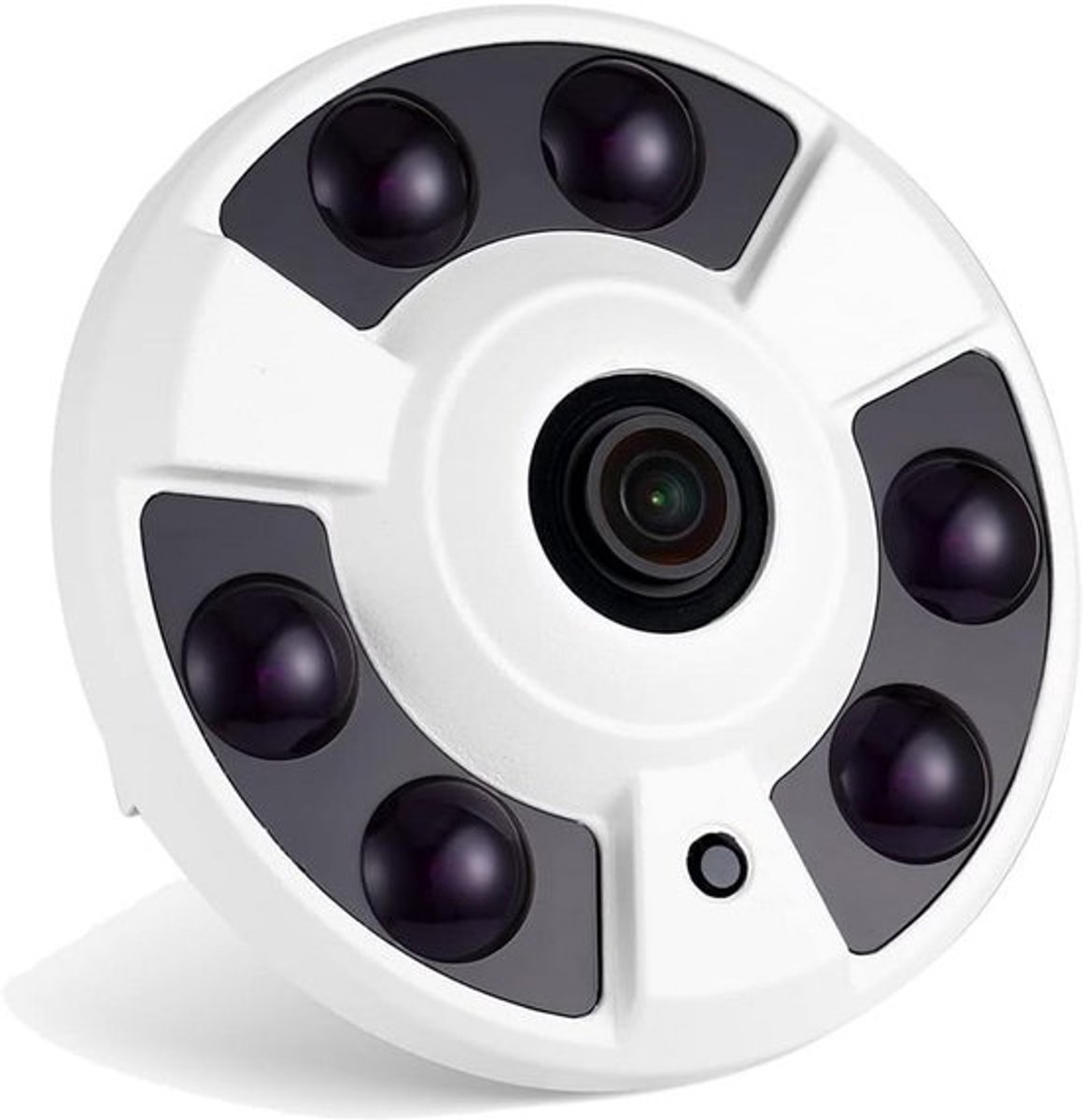 5MP PoE IP Camera met 170 Graden Fisheye Nachtzicht en Bewegingsdetectie
