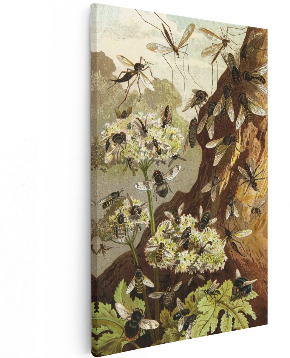 Artaza Canvas Schilderij Insecten - 120x180 cm - Groot - Wanddecoratie Natuur - Muurdecoratie Bloemen - Decoratie Vintage Illustratie