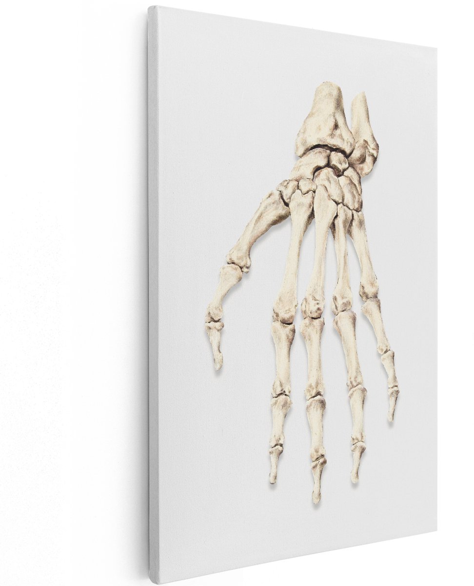 Artaza Canvas Schilderij Skelet Hand - 120x180 cm - Groot - Wanddecoratie Anatomie - Muurdecoratie Gothic - Decoratie Botten - Schilderijen Op Canvas