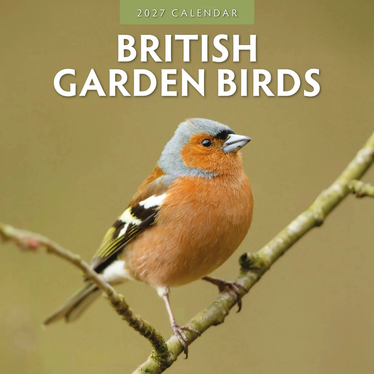 British Garden Birds Kalender 2027