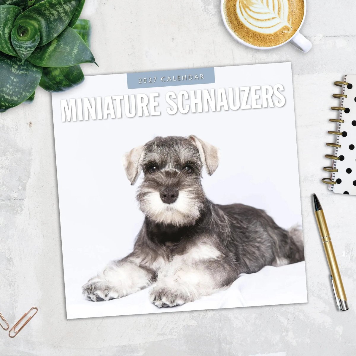 Miniatuur Schnauzer Kalender 2027