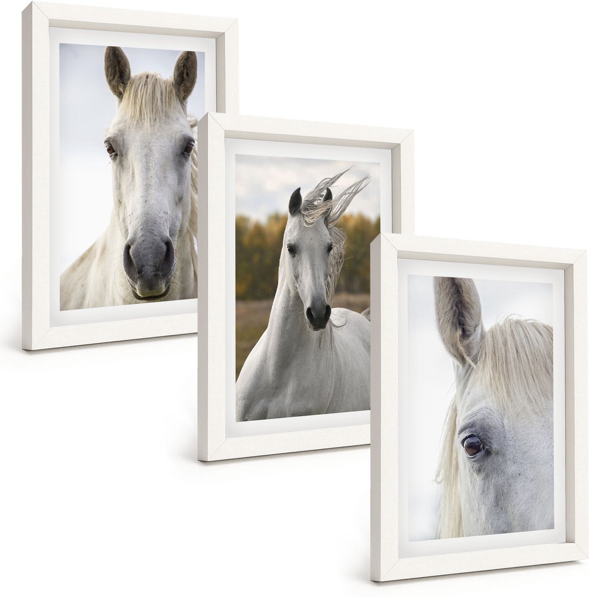 Wallfluent 3-Delige Schilderij Set - Witte Paarden In Verschillende Houdingen Tegen Een Natuurlijke Achtergrond. - 20 x 30 - Wanddecoratie - Moderne Interieurdecoratie