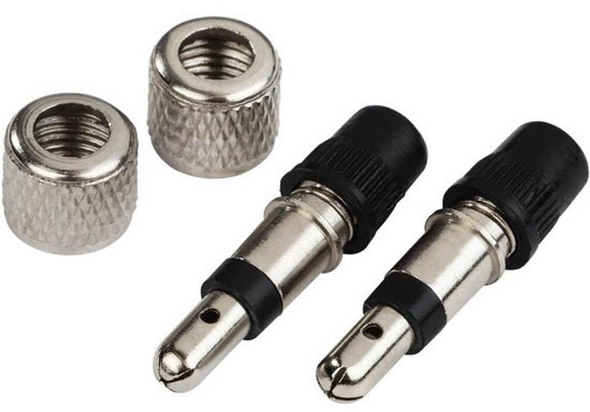 Fietsventiel Set - Bandenventiel Onderdeel - Fietsband Reparatie - Directe Vervanging - 2 Stuks - Zilver Zwart