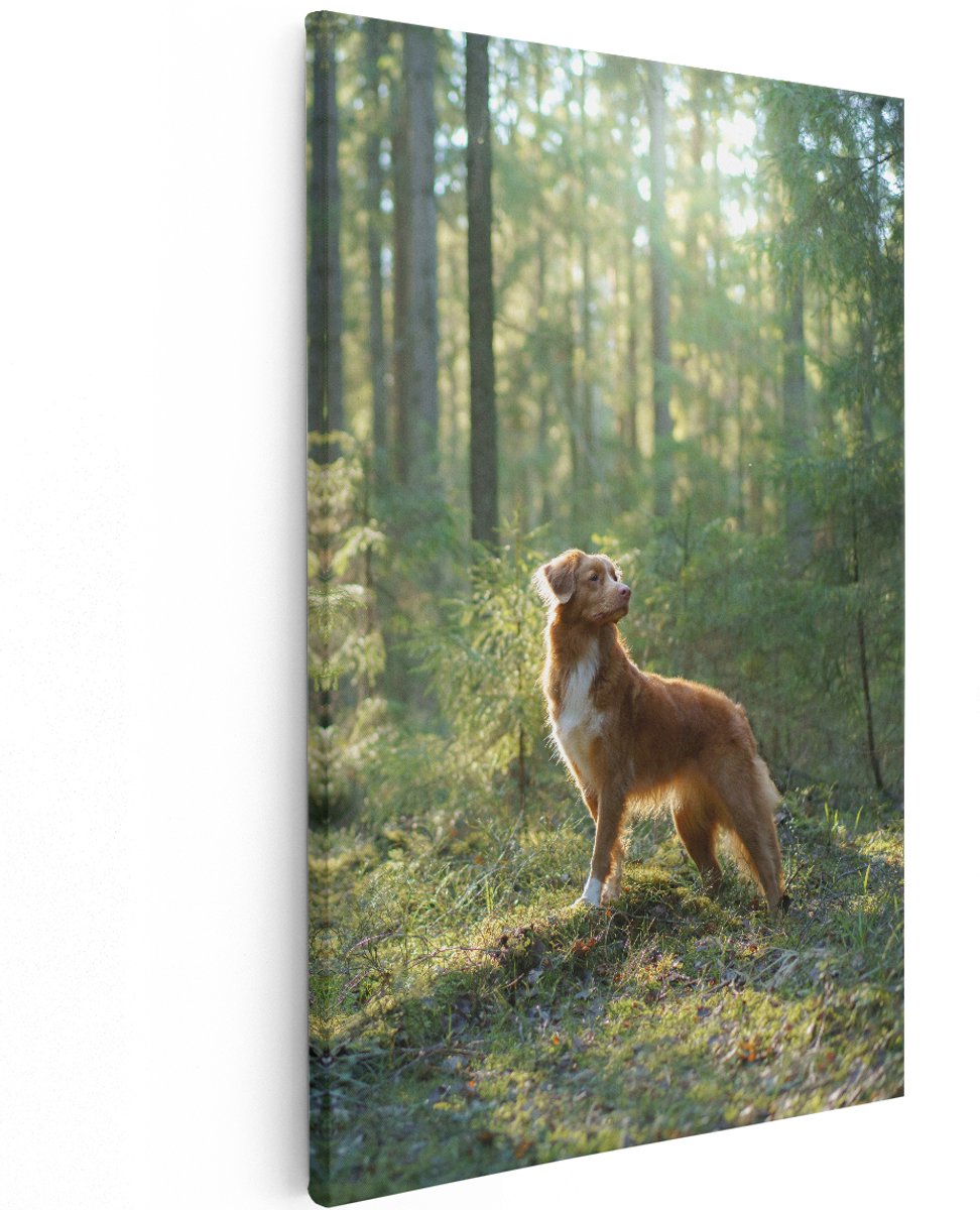 Artaza Canvas Schilderij Retriever Hond In Het Bos Met Zon - 120x180 cm - Groot - Wanddecoratie Woonkamer - Schilderijen - Muurdecoratie