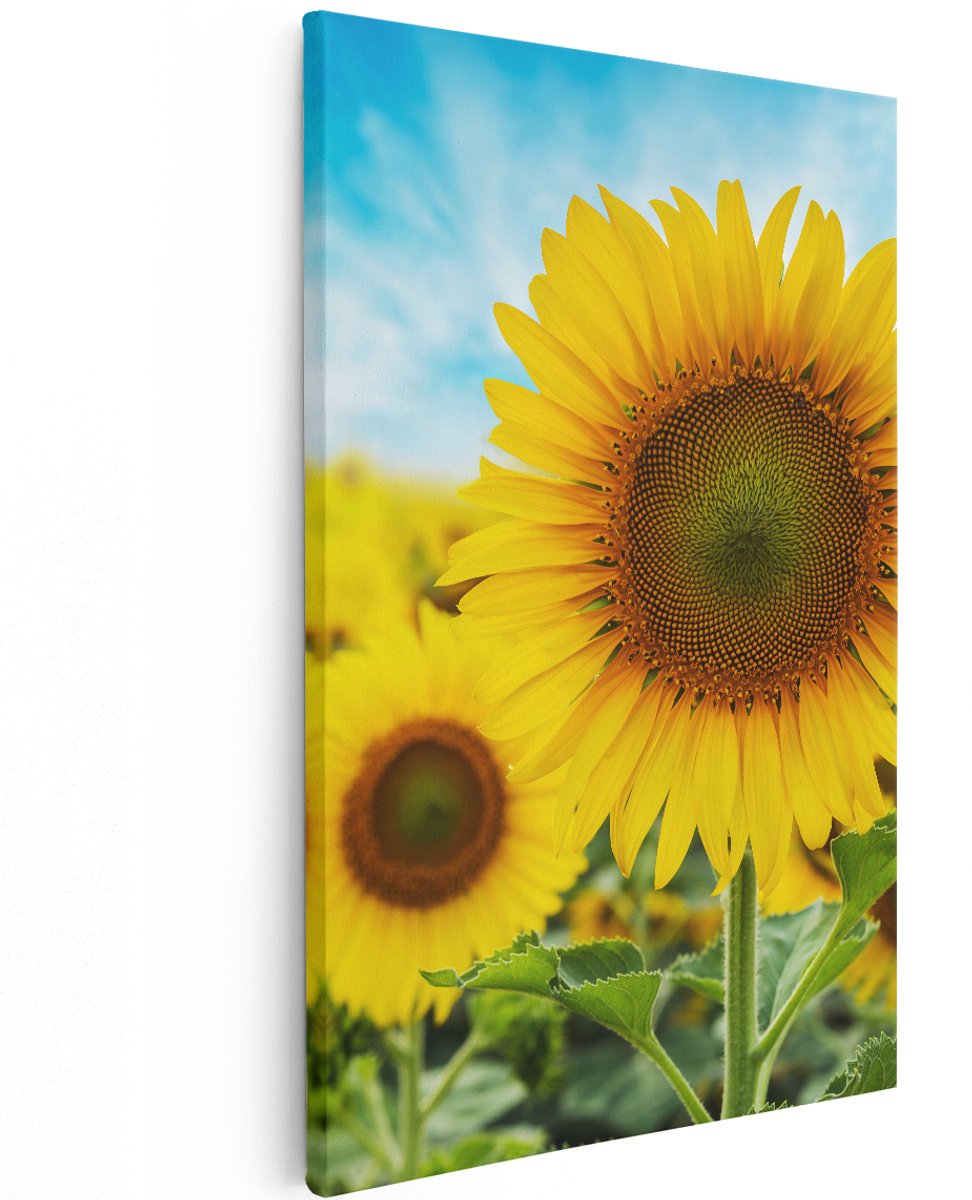 Artaza Canvas Schilderij Zonnebloemen Veld - 120x180 cm - Groot - Wanddecoratie Woonkamer - Schilderijen - Muurdecoratie