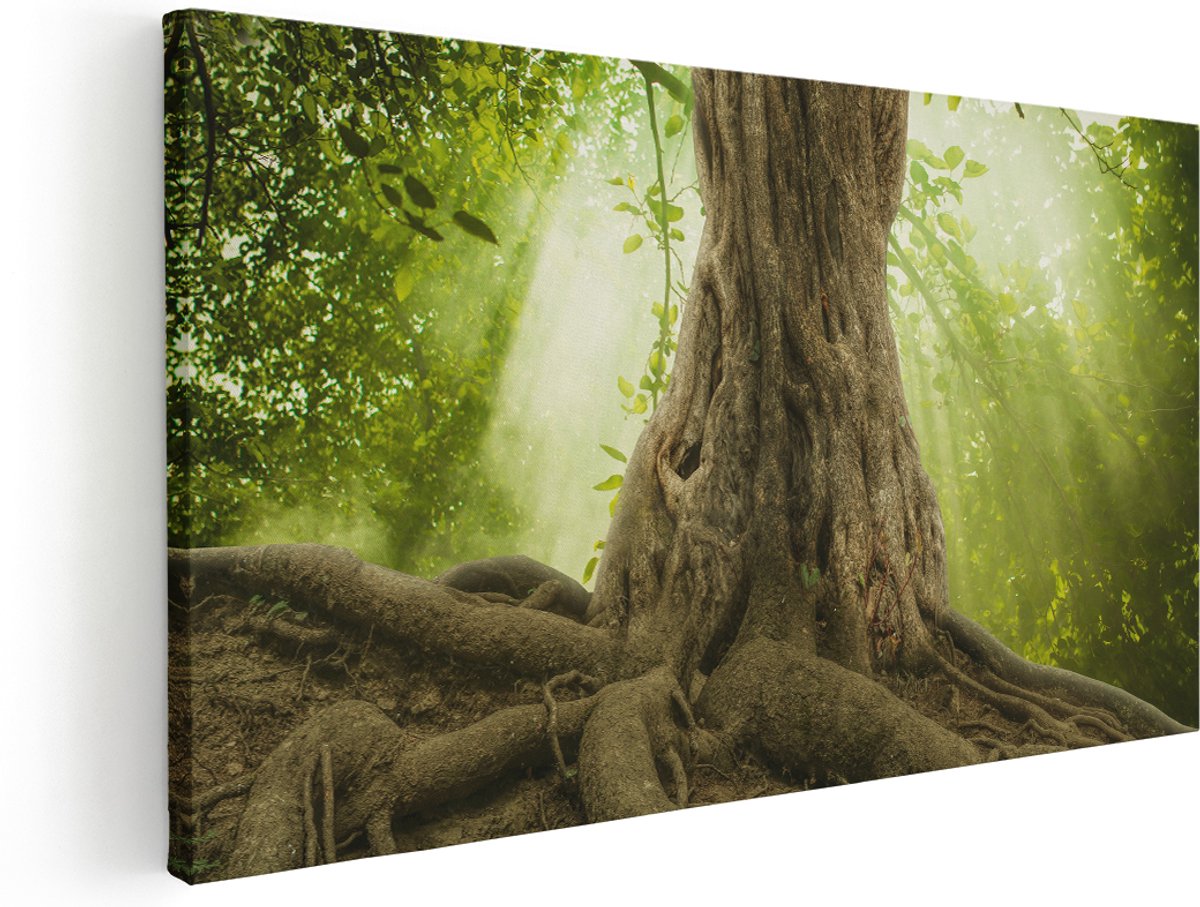 Artaza Canvas Schilderij Grote Boom In Het Bos Met Wortels - 180x90 cm - Groot - Wanddecoratie Woonkamer - Schilderijen - Muurdecoratie