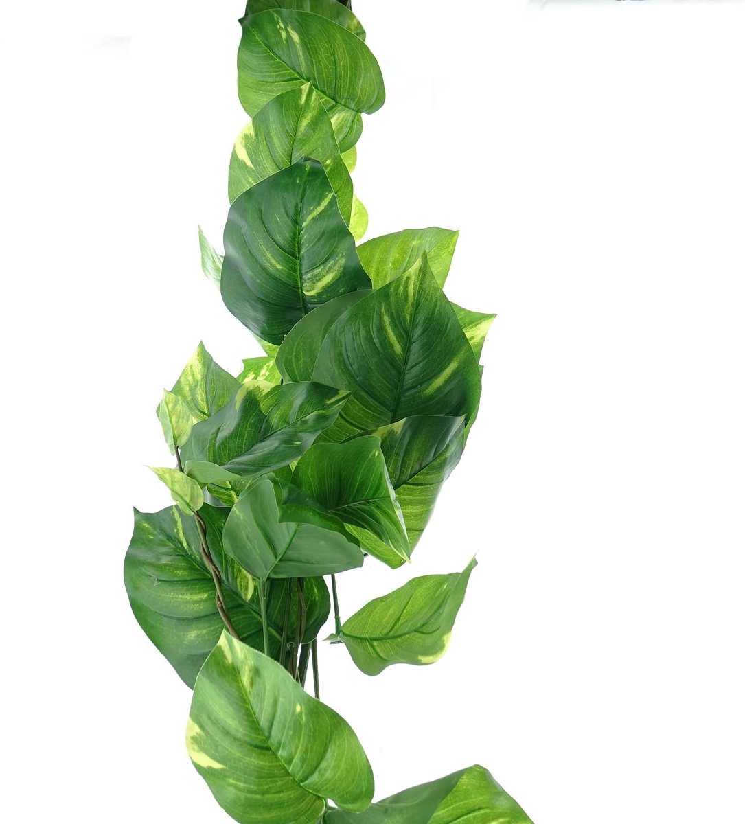 DPI Pothos Epipremnum Rank Groen & Geel 110 cm - Kunstplanten