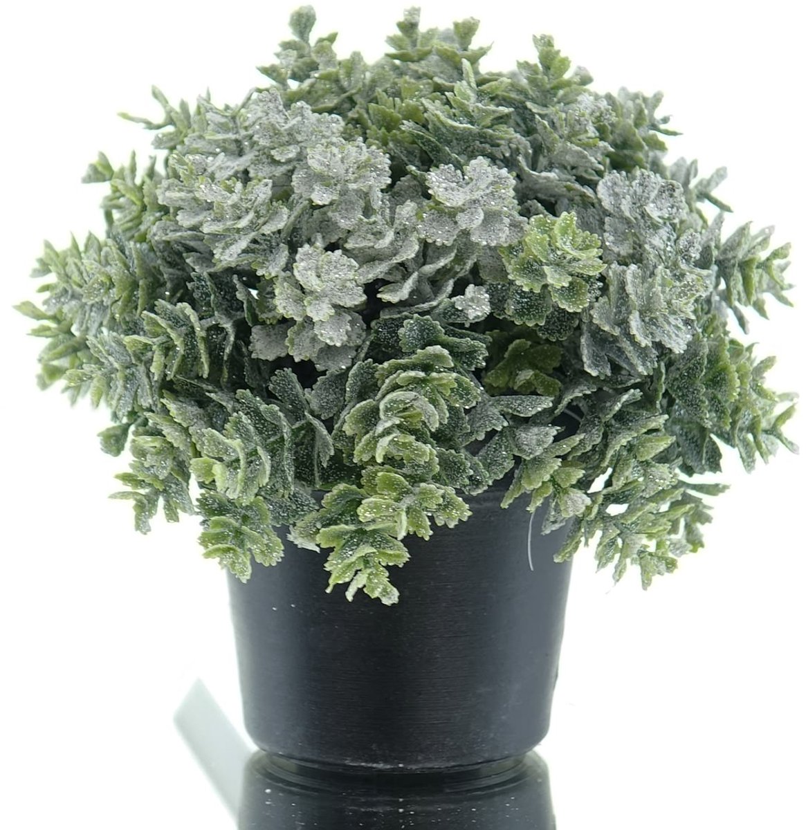 Gasper Kerst Eucalyptusbol besneeuwd in pot Ø 13 cm - Kunstplanten