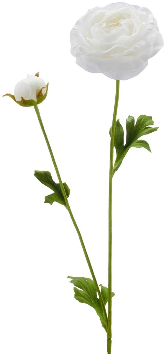 Gasper Ranonkel zuiverwit Ø 8.5 cm 63 cm