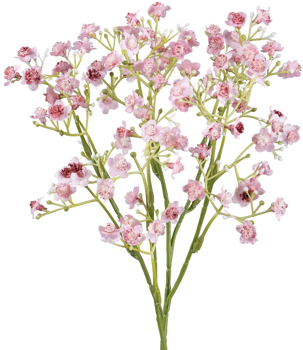 Gasper Gipskruid-Gypsophila roze 48 cm