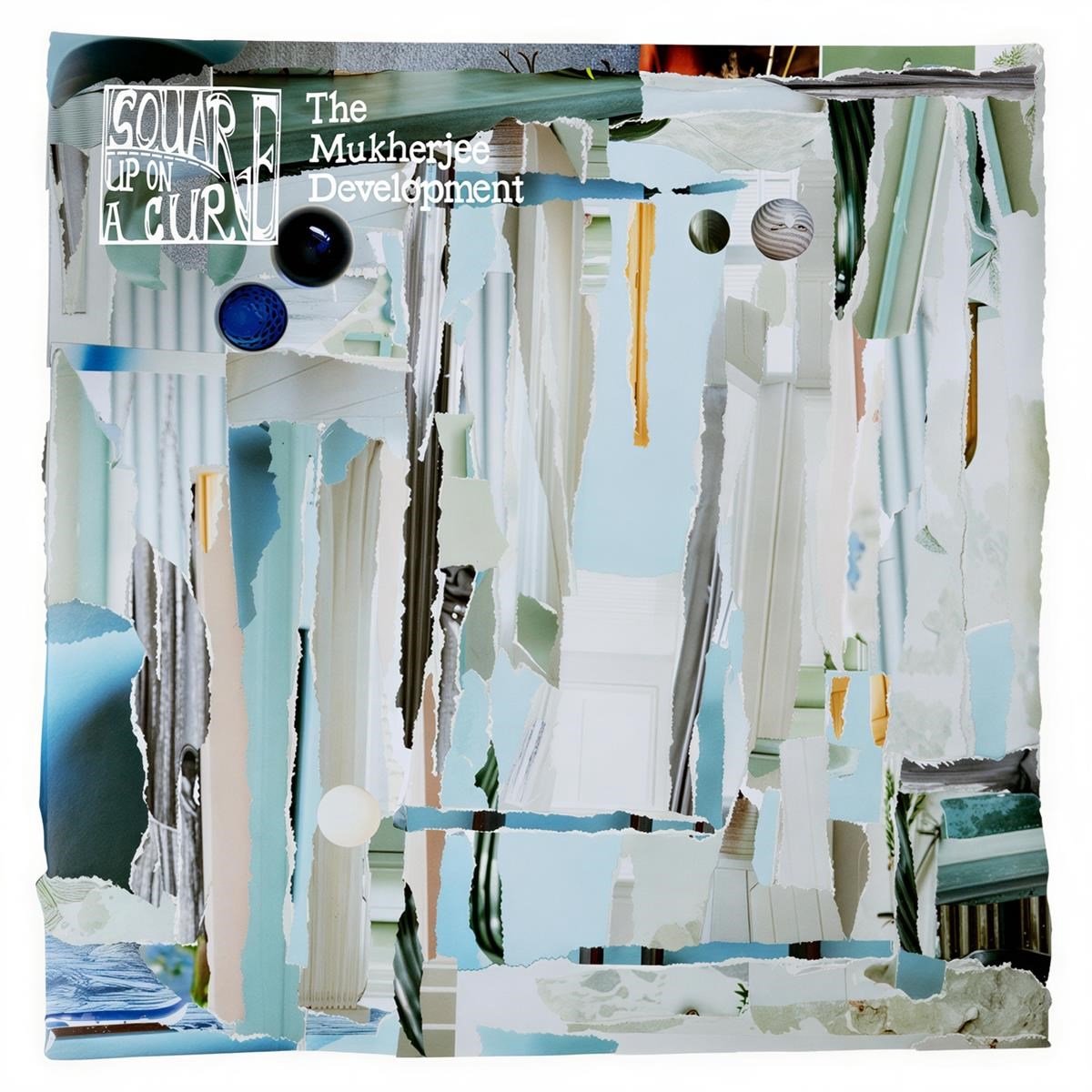 The Mukherjee Development - Square Up On A Curve (LP)