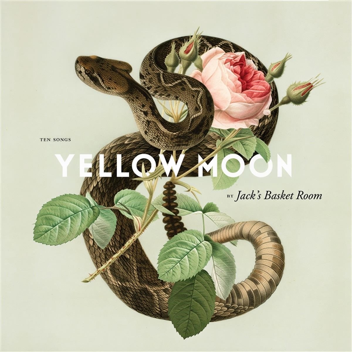 Jack's Basket Room - Yellow Moon (LP)