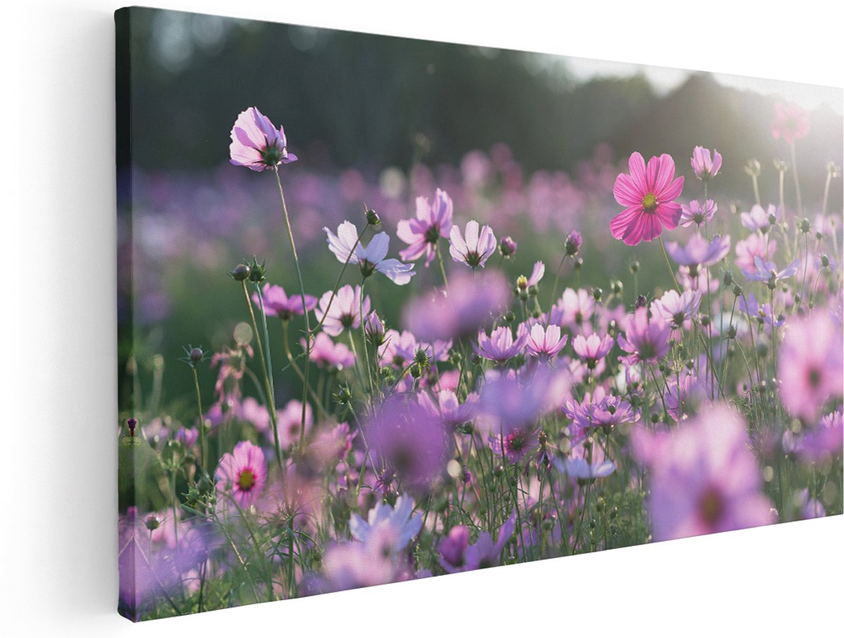 Artaza Canvas Schilderij Bloemenveld Met Paarse Kosmos - 160x80 cm - Groot - Wanddecoratie Woonkamer - Schilderijen - Muurdecoratie