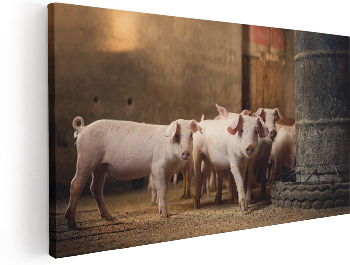 Artaza Canvas Schilderij Varkens op een Boerderij Stal - 140x70 cm - Groot - Wanddecoratie Woonkamer - Schilderijen - Muurdecoratie