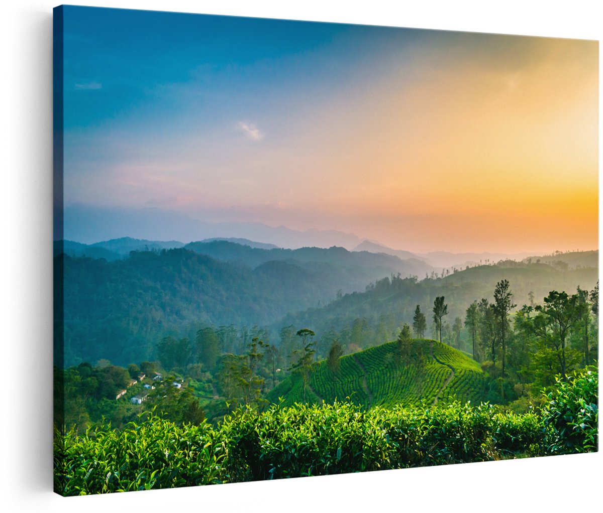 Artaza Canvas Schilderij Zonsondergang Op Een Thee Plantage - 150x100 cm - Groot - Foto Op Canvas - Wanddecoratie Woonkamer