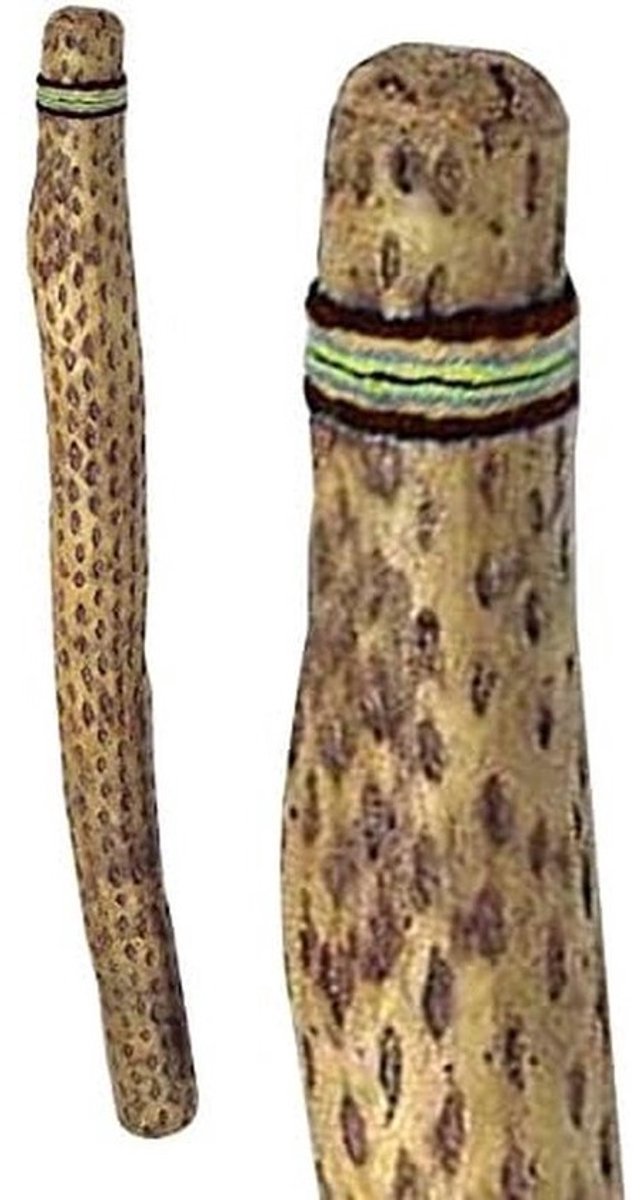 Grote Natuurlijke Regenstok (Rainmaker) van 100 cm - Authentiek Percussie-instrument