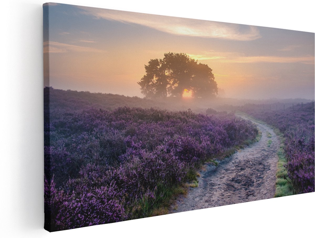 Artaza Canvas Schilderij Pad in de Weide van de Veluwe - 180x90 cm - Groot - Wanddecoratie Woonkamer - Schilderijen - Muurdecoratie