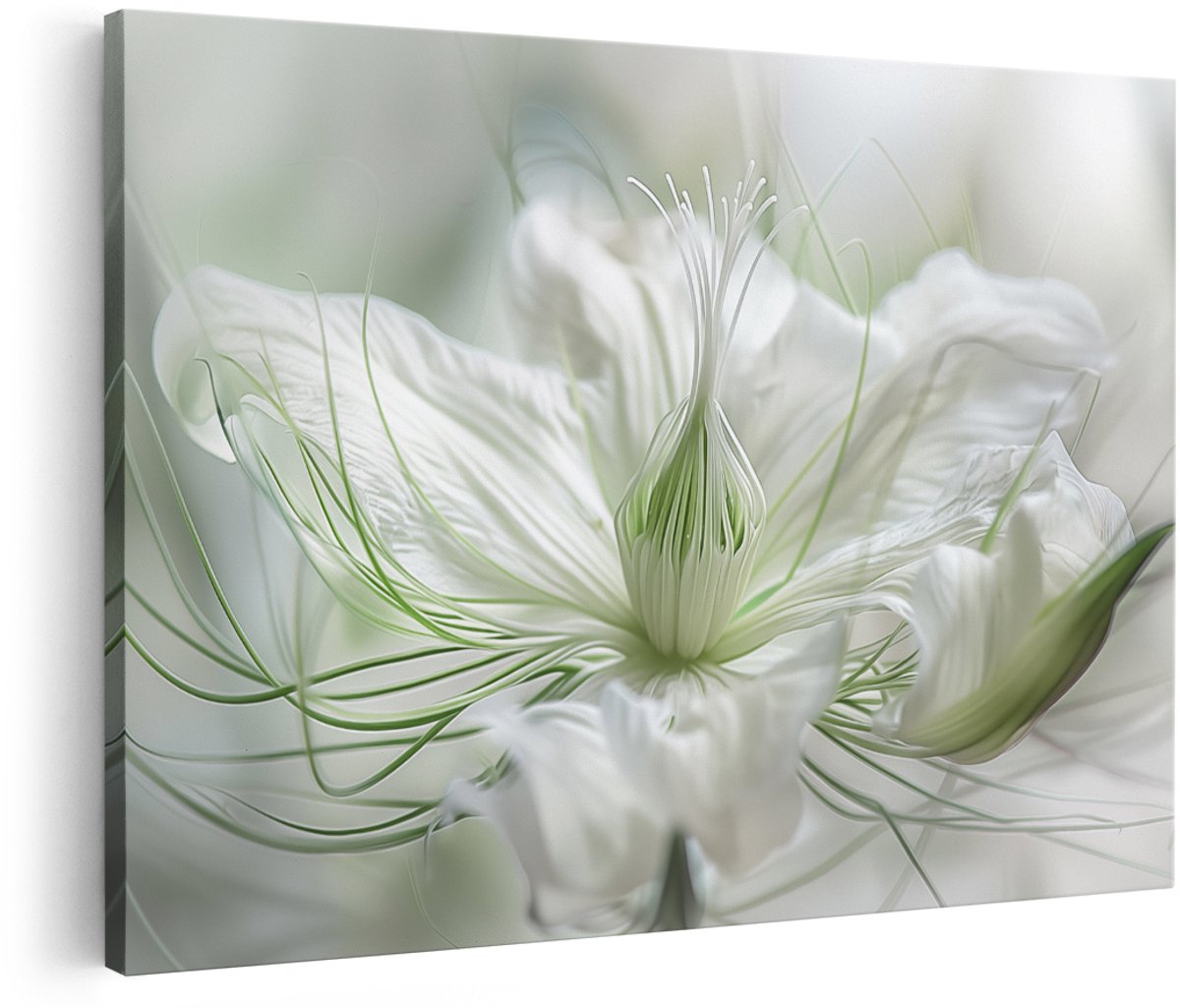 Artaza Canvas Schilderij Witte Bloem met een Onscherpe Achtergrond - Bloemen - 180x120 cm - Groot - Wanddecoratie Woonkamer - Schilderijen - Muurdecoratie