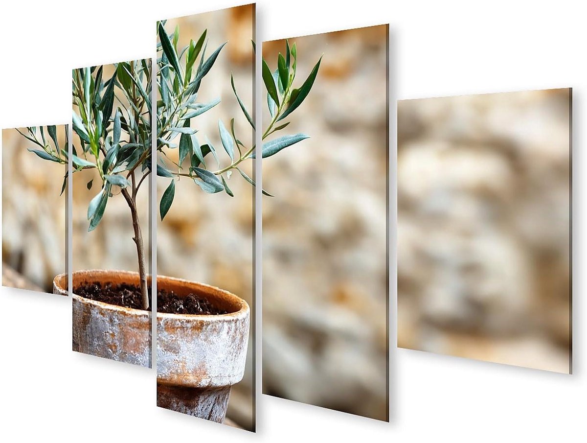 Canvas Schilderij Olijfboom - Muurschildering Natuur Stilleven - Woonkamer Decoratie - Echte Canvasstructuur - 170x80cm 5 Delen - Groen Terracotta