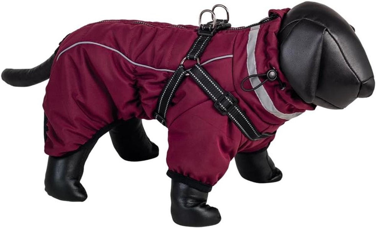 Hondenjas ELOR 2-in-1 - Honden winterjas Honden regenjas - Hond Warm Houden - Waterdicht en Winddicht - 55 cm - Bordeaux
