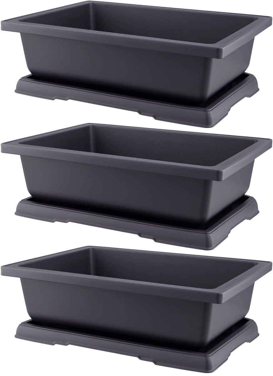 Dailygoods - Bonsai Pot met Coaster, 36 x 26.2 x 10.7 cm