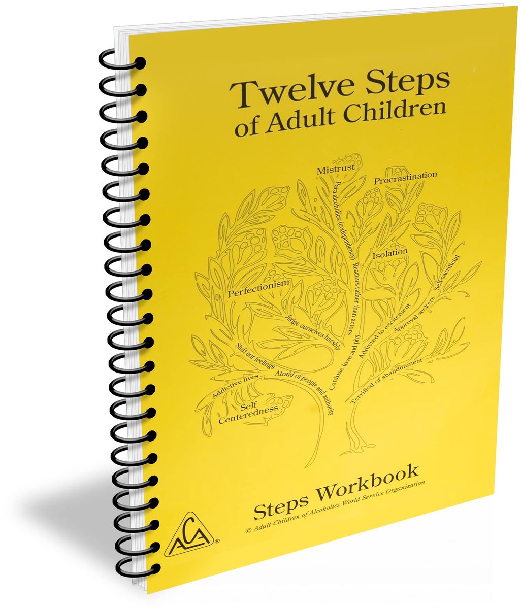 Dailygoods- Werkboek Zelfhulp - Werkboek Volwassen Kinderen - 12 Stappen Programma - ACA Fellowship - Psychologie - Conferentie-goedgekeurd - Zelfhulpboek