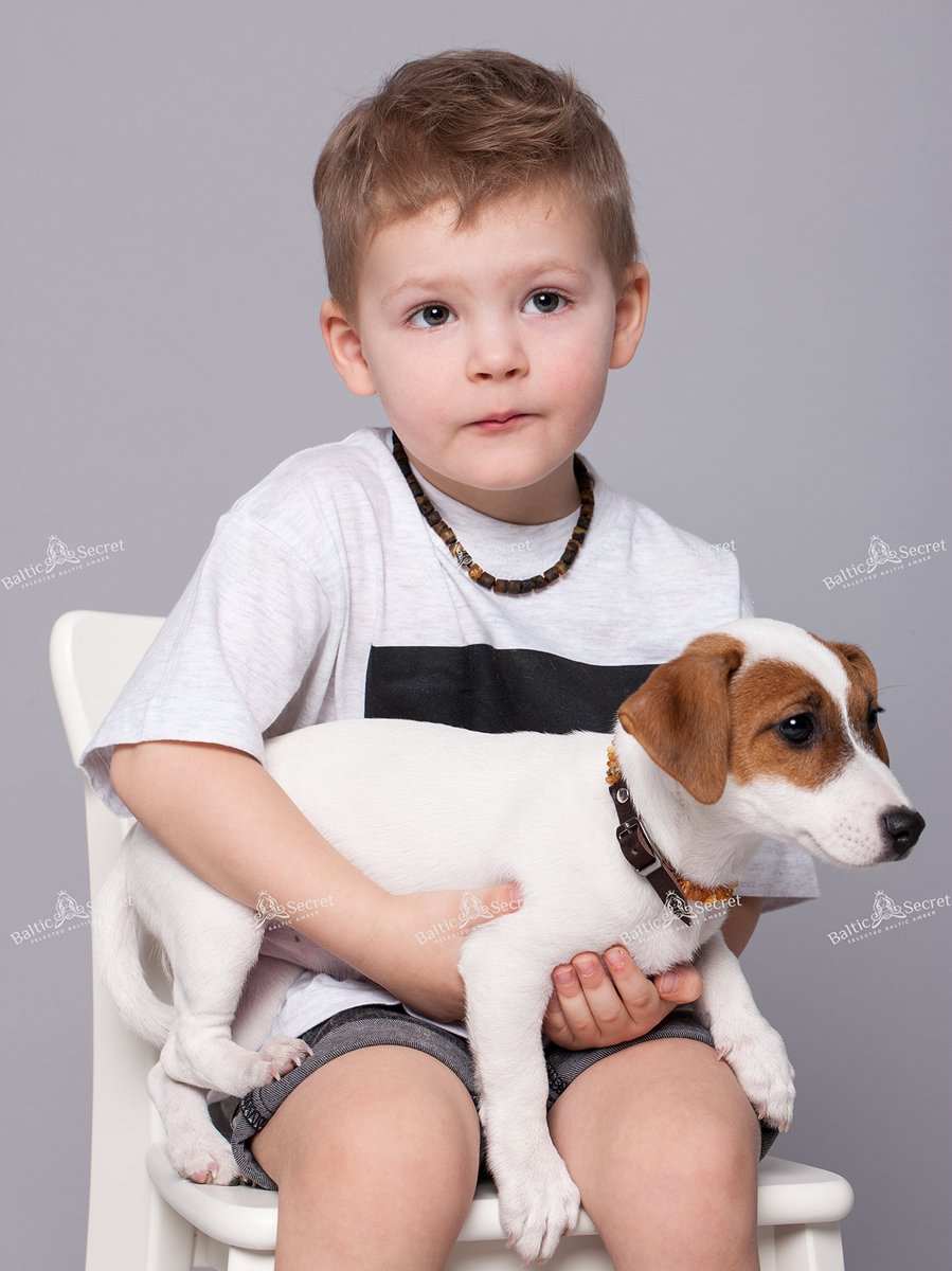 SnelShoppen - Barnsteenketting voor Honden en Katten - Natuurlijke Barnsteenhalsband - Echte Barnsteen - Hondenhalsband voor Allergieën - Geschikt voo