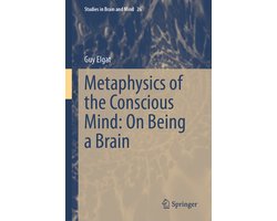 Studies in Brain and Mind26- Metaphysics of the Conscious Mind: On Being a Brain
