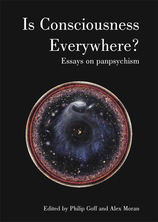 Boekomslag met de titel "Is Consciousness Everywhere?" en een afbeelding van het universum.