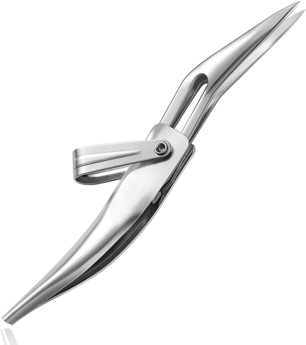 Dailygoods - Sharp Tweezers voor Splinter en Ingegroeide Haren