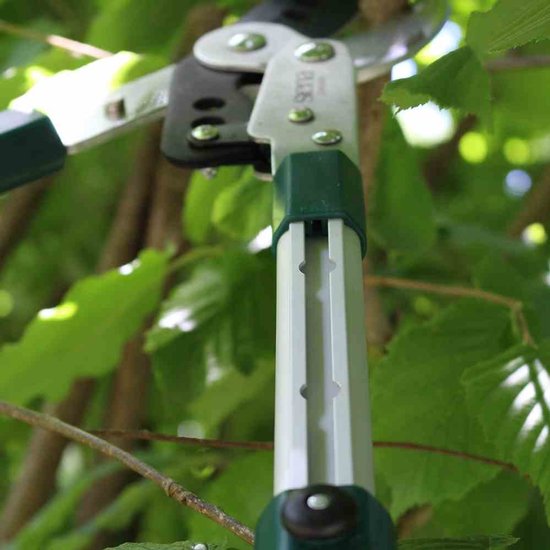 Takkenschaar telescopische Pro aluminium aambeeld takkenschaar - 358328 - kopen online takkenschaar telescopische van Pro — afbeelding 2