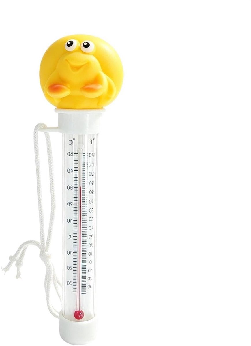 Drijvende Zwembad Thermometer - Watertemperatuur meter - Waterkwaliteit meten - Drijvend cartoon design - 19 Centimeters - Schelp